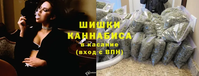 Бошки Шишки план  купить наркоту  Моздок 